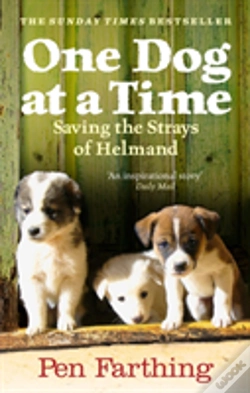 Capa do artigo One Dog At A Time