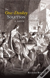 Capa do artigo One-Donkey Solution