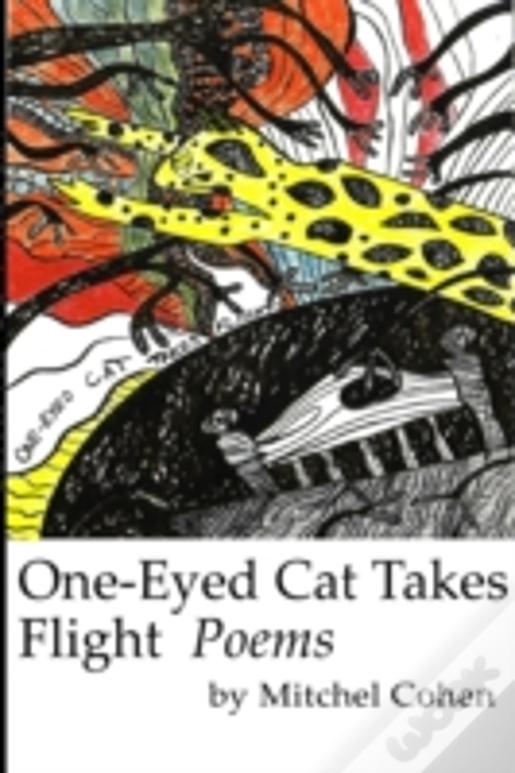 One-Eyed Cat Takes Flight