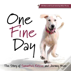 Capa do artigo One Fine Day