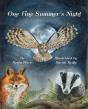 One Fine Summer'S Night - Preview