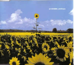 Capa do artigo One For You - CD