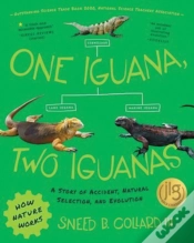 Capa do artigo One Iguana, Two Iguanas