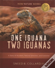 One Iguana, Two Iguanas