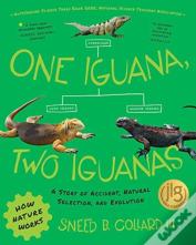 One Iguana, Two Iguanas