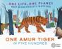 One Life, One Planet: One Amur Tiger In Five Hundred - Preview