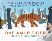 One Life, One Planet: One Amur Tiger In Five Hundred