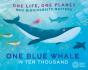 One Life, One Planet: One Blue Whale In Ten Thousand - Preview