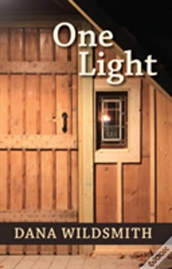 Capa do artigo One Light