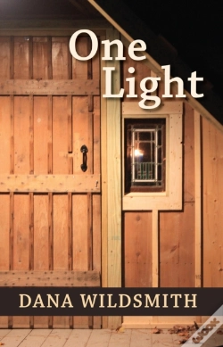 Capa do artigo One Light