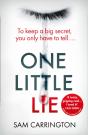 One Little Lie - Preview