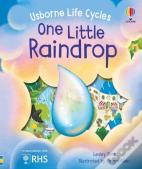 One Little Raindrop