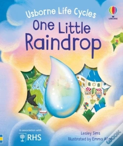 Capa do artigo One Little Raindrop