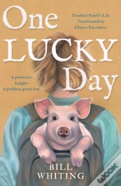 Capa do artigo One Lucky Day