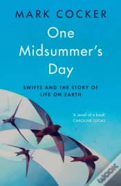 Capa do artigo One Midsummer