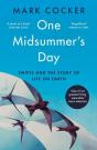 One Midsummer'S Day - Preview