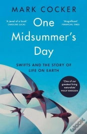 Capa do artigo One Midsummer