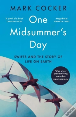 Capa do artigo One Midsummer'S Day