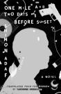 One Mile And Two Days Before Sunset - Preview