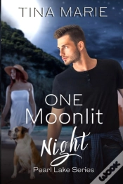 Capa do artigo One Moonlit Night