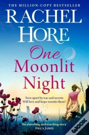 Capa do artigo One Moonlit Night