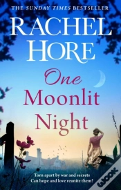 Capa do artigo One Moonlit Night
