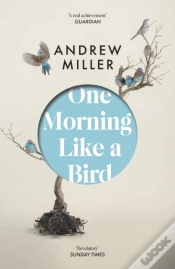 Capa do artigo One Morning Like A Bird