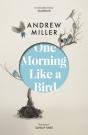 One Morning Like A Bird - Preview