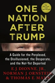 Capa do artigo One Nation After Trump