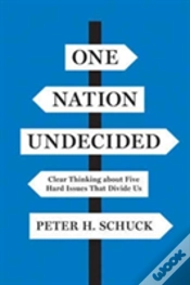 Capa do artigo One Nation Undecided