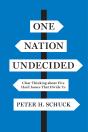 One Nation Undecided - Preview