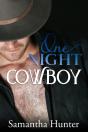 One Night Cowboy - Preview