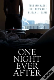 Capa do artigo One Night Ever After