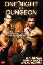 One Night In A Dungeon - Preview
