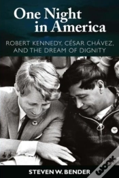Capa do artigo One Night In America