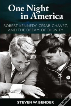 Capa do artigo One Night In America