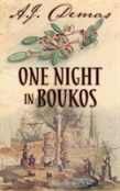 One Night In Boukos