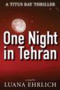 One Night In Tehran - Preview
