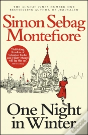 Capa do artigo One Night In Winter