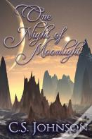 One Night Of Moonlight
