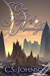 One Night Of Moonlight