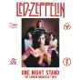 One Night Stand - Vinil - Preview