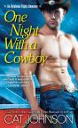One Night With A Cowboy - Preview