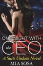 One Night With The Ceo - Preview