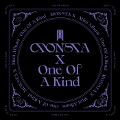 Capa do artigo One of a Kind - CD