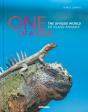 One Of A Kind - Preview