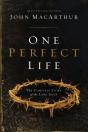 One Perfect Life - Preview