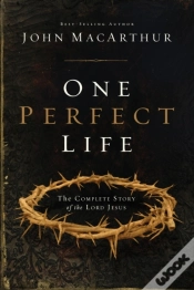 Capa do artigo One Perfect Life