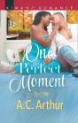 One Perfect Moment - Preview