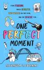 One Perfect Moment - Preview
